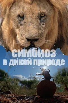 Сериал Симбиоз в дикой природе 1 сезон (1-2 серия)
