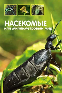 Сериал Насекомые, или Миллиметровый мир 1 сезон (1-2 серия)
