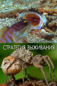 Сериал Стратегия выживания 1 сезон (1-2 серия)
